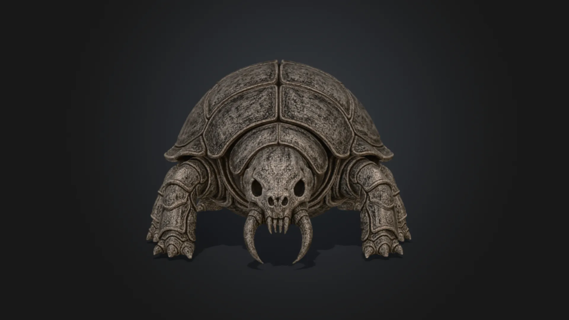 Chitinous Testudinidae 3D Model .c4d .max .obj .3ds .fbx .stl .blend 