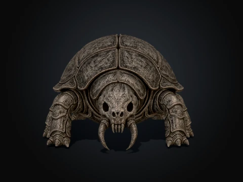 Chitinous Testudinidae 3D Model