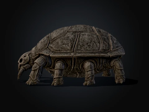 Chitinous Testudinidae 3D Model