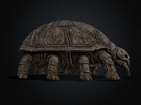 Chitinous Testudinidae 3D Model