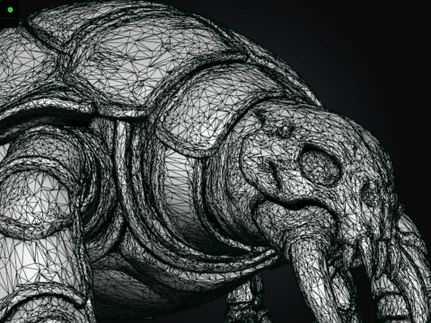 Chitinous Testudinidae 3D Model