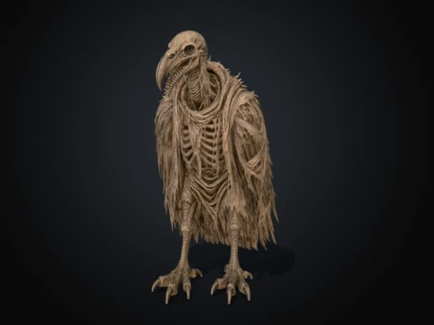 Cathartes Ossifrage 3D Modell