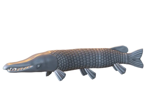 Poisson alligator gar Modèles 3D en vedette