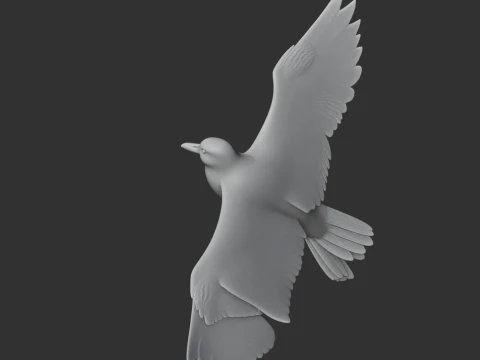 Auk Modelo 3D