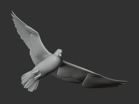 Auk Modelo 3D