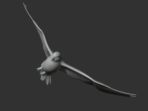 Auk Modelo 3D