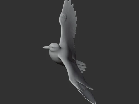 Auk Modelo 3D