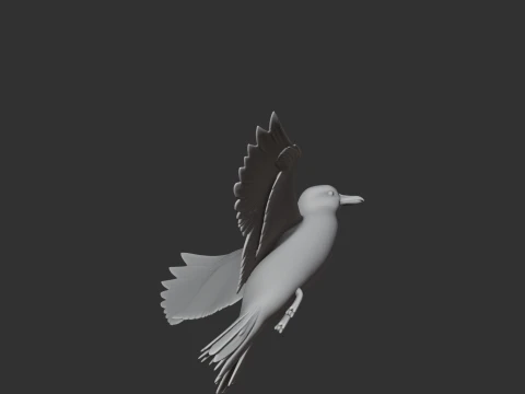 Auk Modelo 3D