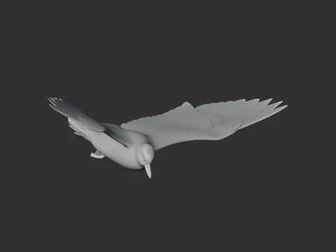 Auk Modelo 3D