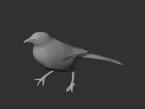 P&aacute;ssaro tagarela Modelo 3D
