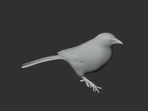 P&aacute;ssaro tagarela Modelo 3D