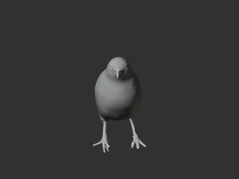 P&aacute;ssaro tagarela Modelo 3D