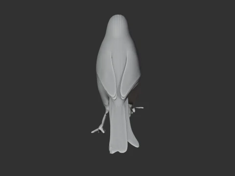 P&aacute;ssaro tagarela Modelo 3D