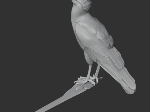 Caracar&aacute; Modelo 3D