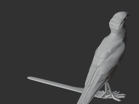 Caracar&aacute; Modelo 3D