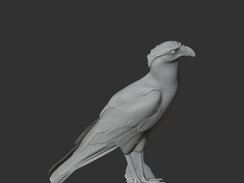 Caracar&aacute; Modelo 3D