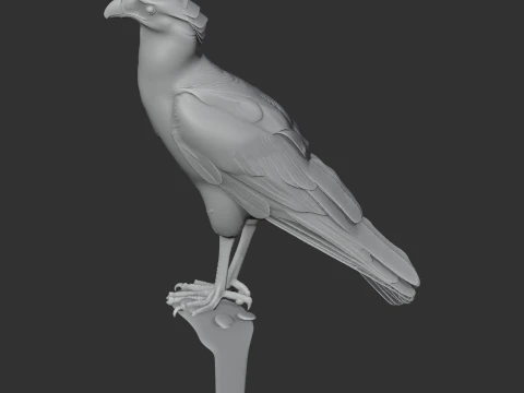 Caracar&aacute; Modelo 3D