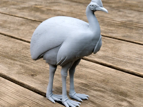 Казуар 3D Модель