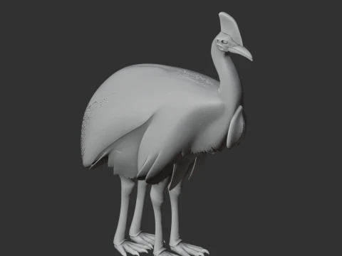 Cassuar Modelo 3D