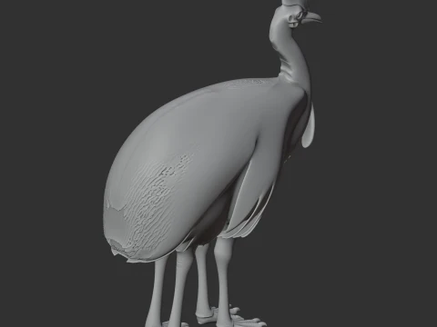 Cassuar Modelo 3D