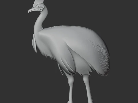 Cassuar Modelo 3D