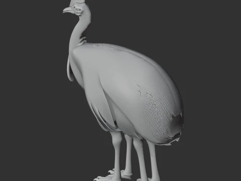Cassuar Modelo 3D