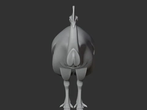 Cassuar Modelo 3D