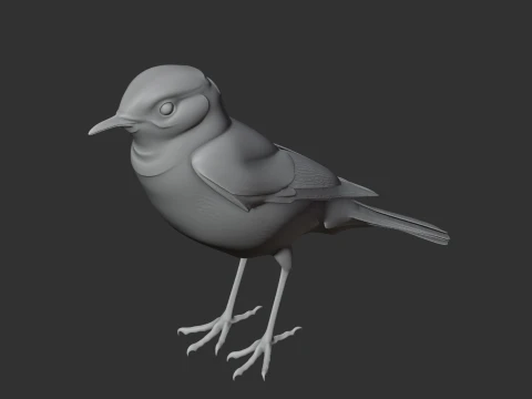 Chat Bird 3D Model