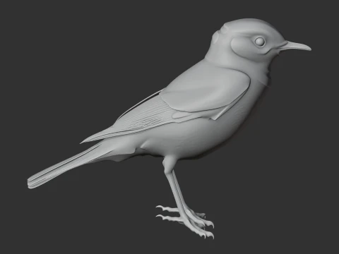 Chat Bird 3D Model
