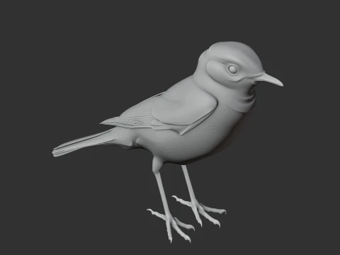 Chat Bird 3D Model