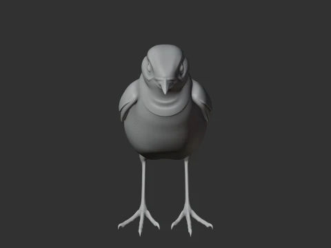 Chat Bird 3D Model