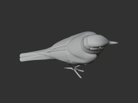 Chat Bird 3D Model