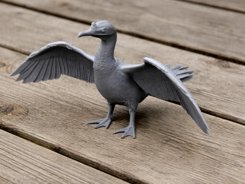 Баклан 3D Модель