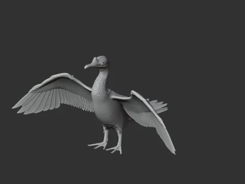 Cormor&atilde;o Modelo 3D