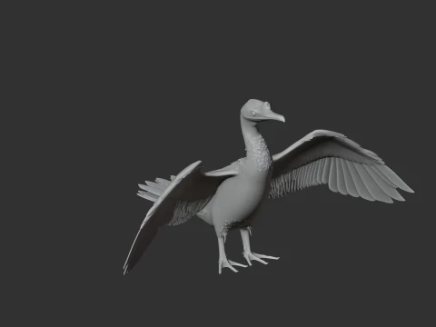 Cormor&atilde;o Modelo 3D