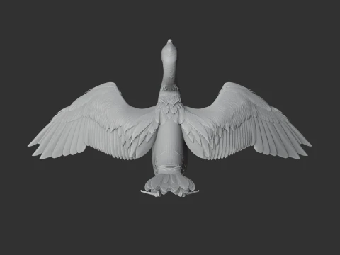Cormor&atilde;o Modelo 3D