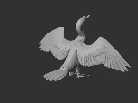 Cormor&atilde;o Modelo 3D