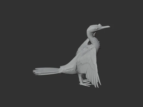 Cormor&atilde;o Modelo 3D