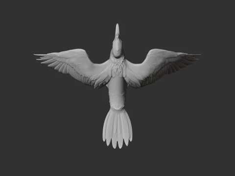 Cormor&atilde;o Modelo 3D