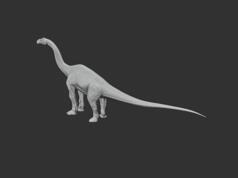 Diplodoco Modelo 3D