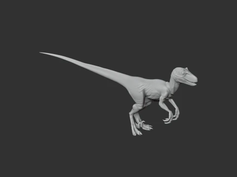 Dromaeosauro Modello 3D