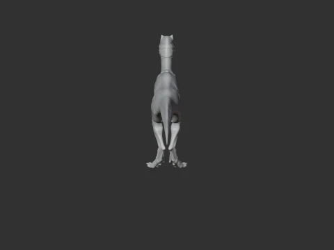 Dromaeosauro Modello 3D