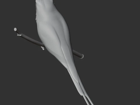 P&aacute;ssaro Rolo Terrestre Modelo 3D