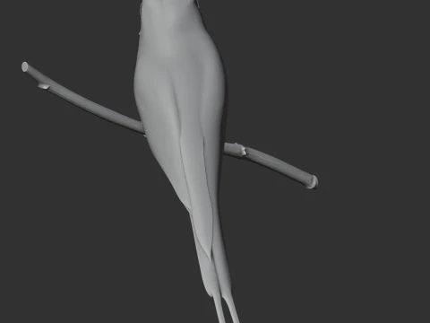P&aacute;ssaro Rolo Terrestre Modelo 3D