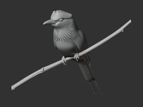 P&aacute;ssaro Rolo Terrestre Modelo 3D