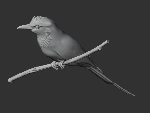 P&aacute;ssaro Rolo Terrestre Modelo 3D