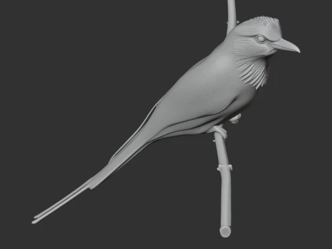 P&aacute;ssaro Rolo Terrestre Modelo 3D