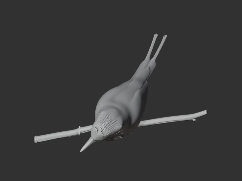 P&aacute;ssaro Rolo Terrestre Modelo 3D