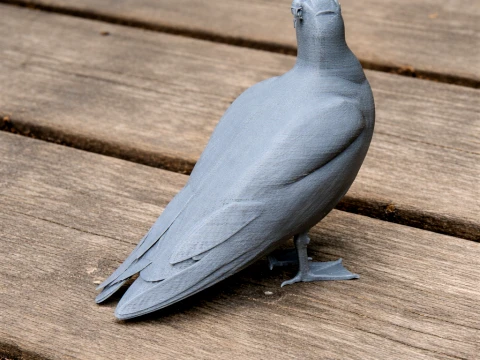 Martı 3D Model