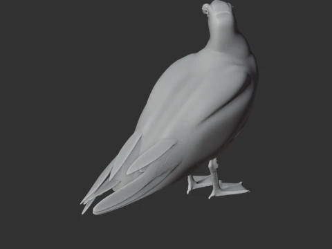 Gaivota Modelo 3D